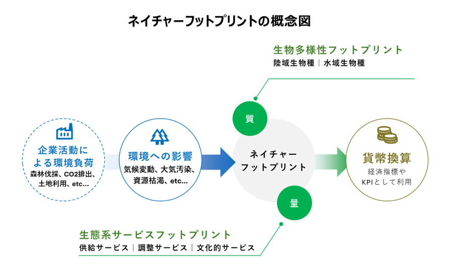 生物多様性フットプリント(質)と生態系サービスフットプリント(量)のイメージ図