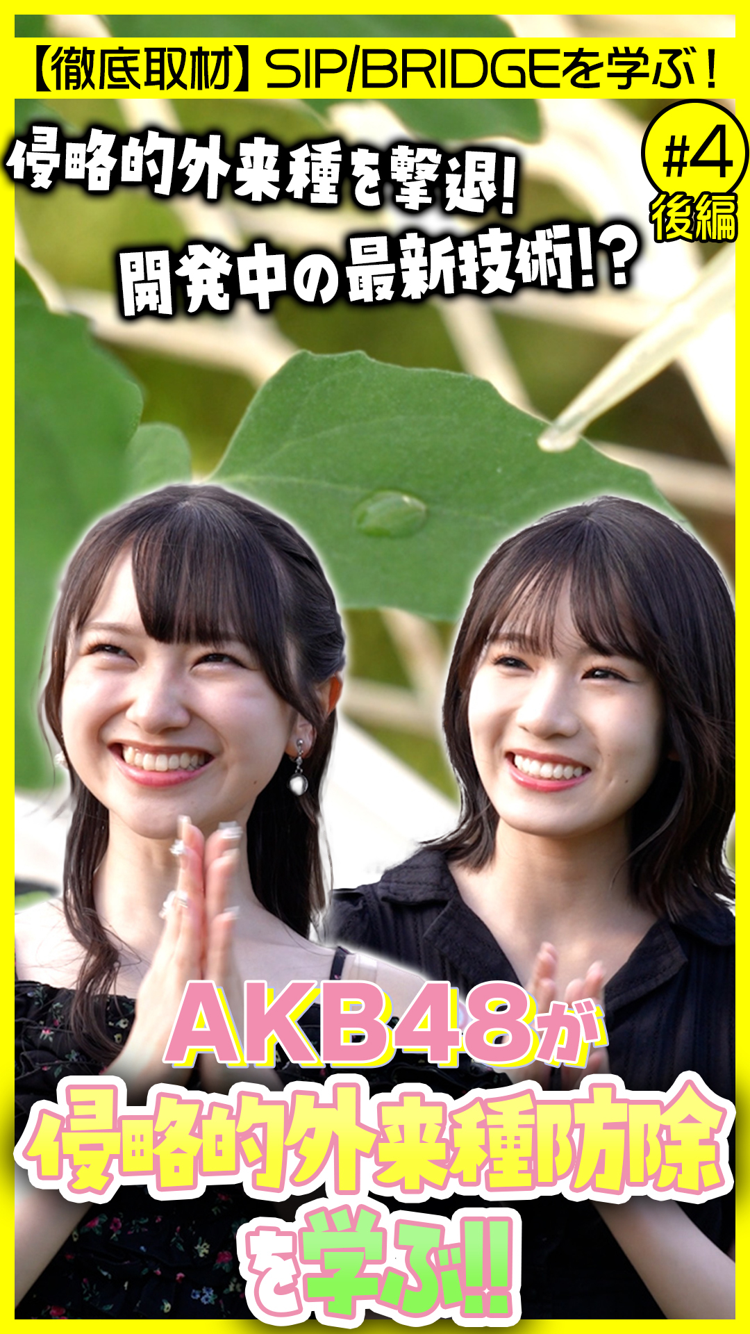 【AKB48】侵略的外来種から日本を守る?AKB48と学ぶ未来社会(後編)|内閣府 SIP/BRIDGE